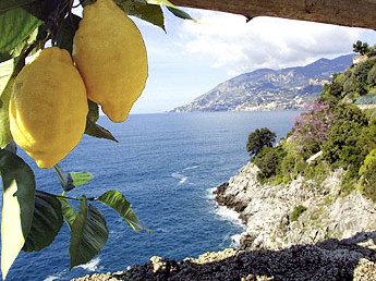 Sorrento